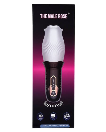 The Original Male Rose
